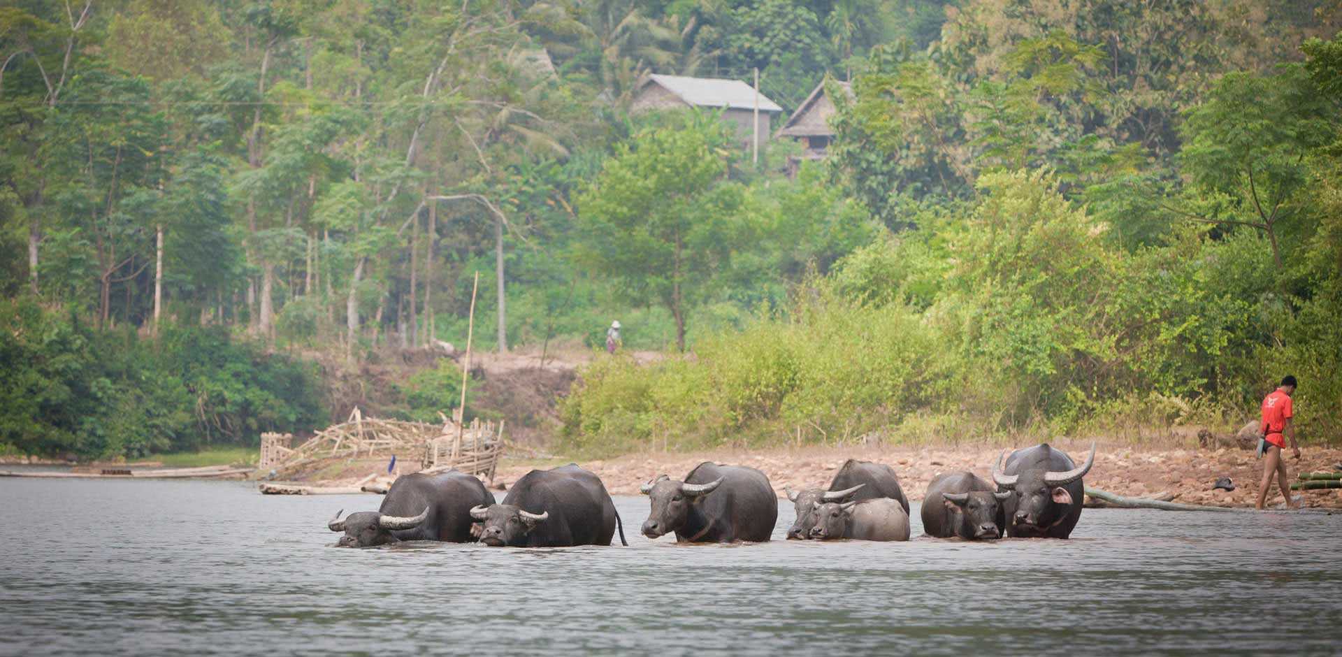 Mekong River in Muang La, Laos